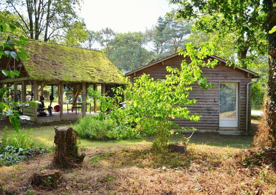 Chalet Cosy Au Coeur De La Foret De Broceliande ベニョン エクステリア 写真