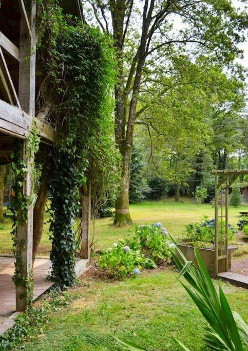 Chalet Cosy Au Coeur De La Foret De Broceliande ベニョン エクステリア 写真